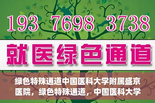 绿色特殊通道中国医科大学附属盛京医院，绿色特殊通道，中国医科大学附属盛京医院的探索与实践