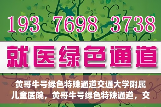 黄哥牛号绿色特殊通道交通大学附属儿童医院，黄哥牛号绿色特殊通道，交通大学附属儿童医院的探索与实践
