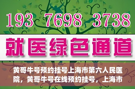 黄哥牛号预约挂号上海市第六人民医院，黄哥牛号在线预约挂号，上海市第六人民医院就医新选择