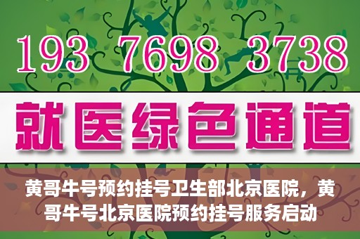 黄哥牛号预约挂号卫生部北京医院，黄哥牛号北京医院预约挂号服务启动