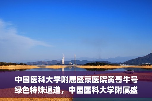 中国医科大学附属盛京医院黄哥牛号绿色特殊通道，中国医科大学附属盛京医院黄哥牛号，绿色特殊通道开启健康之门