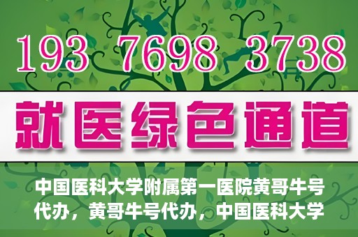 中国医科大学附属第一医院黄哥牛号代办，黄哥牛号代办，中国医科大学附属第一医院挂号服务新动向