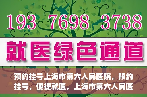 预约挂号上海市第六人民医院，预约挂号，便捷就医，上海市第六人民医院挂号指南