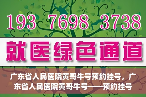 广东省人民医院黄哥牛号预约挂号，广东省人民医院黄哥牛号——预约挂号攻略