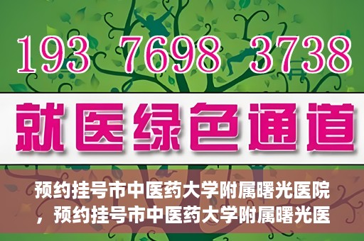 预约挂号市中医药大学附属曙光医院，预约挂号市中医药大学附属曙光医院，一站式便捷就医服务新体验
