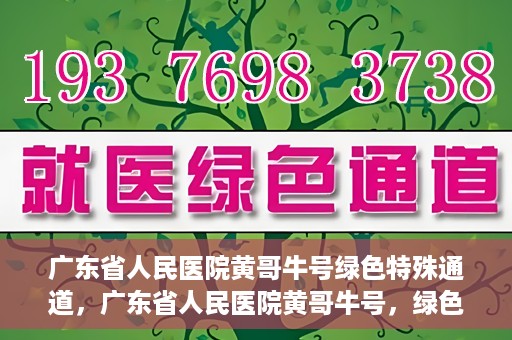 广东省人民医院黄哥牛号绿色特殊通道，广东省人民医院黄哥牛号，绿色特殊通道开启健康之门