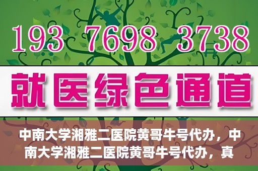 中南大学湘雅二医院黄哥牛号代办，中南大学湘雅二医院黄哥牛号代办，真相揭秘与深度解读