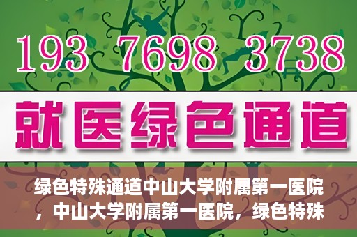 绿色特殊通道中山大学附属第一医院，中山大学附属第一医院，绿色特殊通道开启健康之门