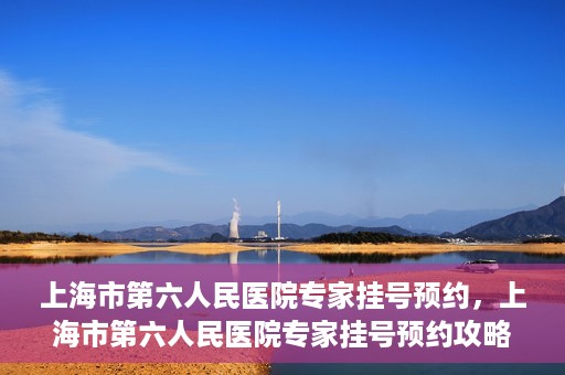 上海市第六人民医院专家挂号预约，上海市第六人民医院专家挂号预约攻略，一站式解决您的就医需求