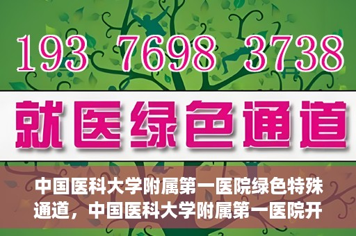 中国医科大学附属第一医院绿色特殊通道，中国医科大学附属第一医院开通绿色特殊通道，助力患者就医体验升级