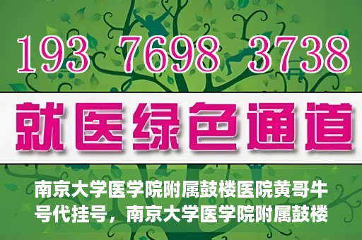 南京大学医学院附属鼓楼医院黄哥牛号代挂号，南京大学医学院附属鼓楼医院黄哥牛号代挂号解析，专业解读与预约攻略