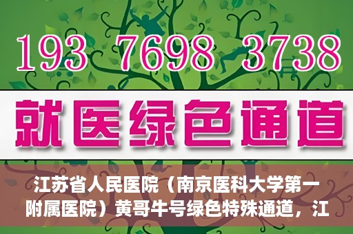 江苏省人民医院（南京医科大学第一附属医院）黄哥牛号绿色特殊通道，江苏省人民医院绿色特殊通道，黄哥牛号的医疗速度与温情服务