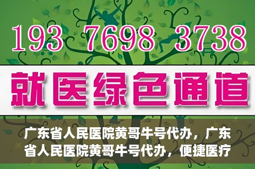 广东省人民医院黄哥牛号代办，广东省人民医院黄哥牛号代办，便捷医疗新途径
