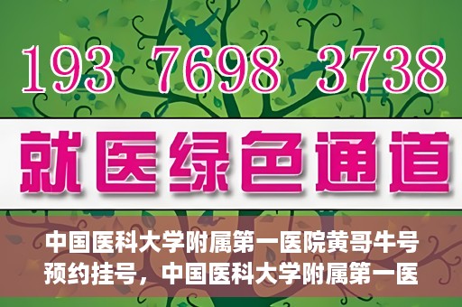 中国医科大学附属第一医院黄哥牛号预约挂号，中国医科大学附属第一医院黄哥牛号预约挂号指南，轻松挂号，健康无忧！