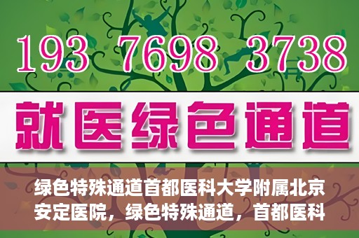 绿色特殊通道首都医科大学附属北京安定医院，绿色特殊通道，首都医科大学附属北京安定医院的探索与实践