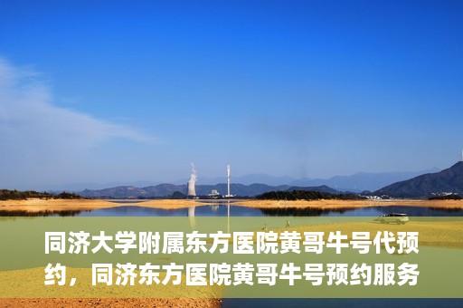 同济大学附属东方医院黄哥牛号代预约，同济东方医院黄哥牛号预约服务启动