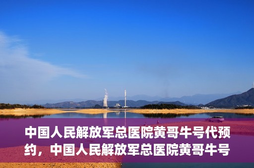 中国人民解放军总医院黄哥牛号代预约，中国人民解放军总医院黄哥牛号预约服务解析