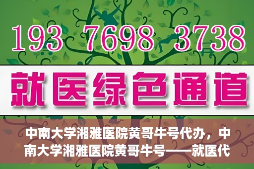 中南大学湘雅医院黄哥牛号代办，中南大学湘雅医院黄哥牛号——就医代办服务详解
