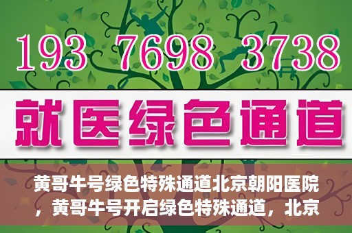 黄哥牛号绿色特殊通道北京朝阳医院，黄哥牛号开启绿色特殊通道，北京朝阳医院助力健康之路
