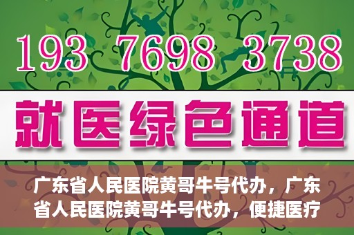 广东省人民医院黄哥牛号代办，广东省人民医院黄哥牛号代办，便捷医疗新途径