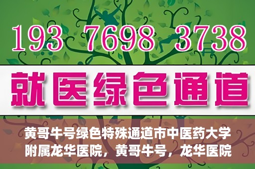 黄哥牛号绿色特殊通道市中医药大学附属龙华医院，黄哥牛号，龙华医院开启绿色特殊通道，倡导中医药文化传承