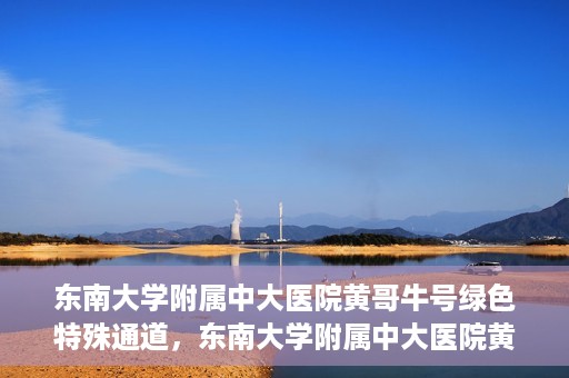 东南大学附属中大医院黄哥牛号绿色特殊通道，东南大学附属中大医院黄哥牛号，绿色特殊通道开启生命之门