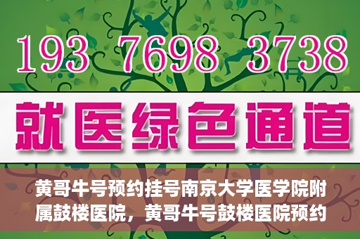 黄哥牛号预约挂号南京大学医学院附属鼓楼医院，黄哥牛号鼓楼医院预约挂号启动，便捷就医新体验