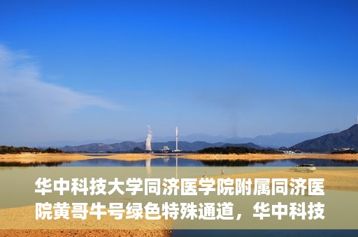 华中科技大学同济医学院附属同济医院黄哥牛号绿色特殊通道，华中科技大学同济医院黄哥牛号绿色特殊通道揭秘