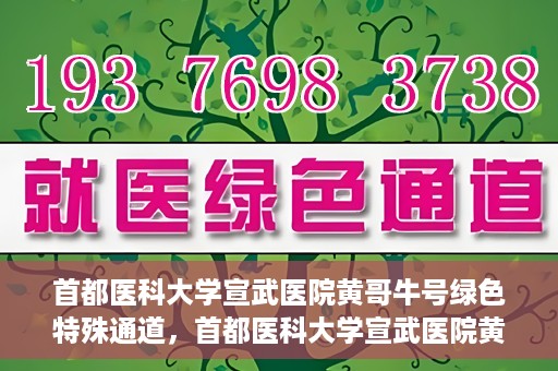 首都医科大学宣武医院黄哥牛号绿色特殊通道，首都医科大学宣武医院黄哥牛号，绿色特殊通道开启健康之门