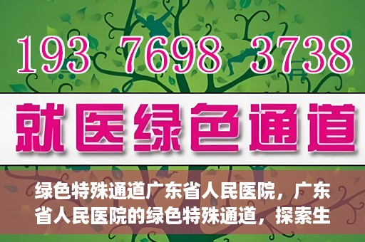 绿色特殊通道广东省人民医院，广东省人民医院的绿色特殊通道，探索生命的新路径