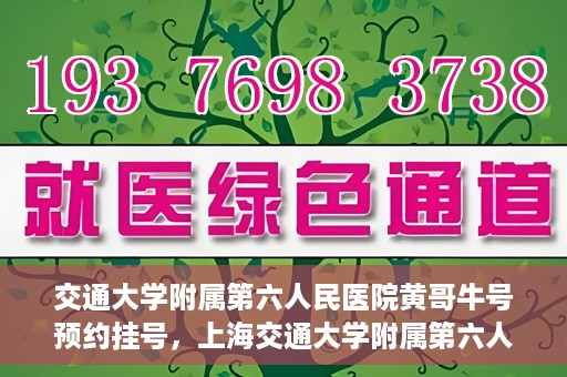 交通大学附属第六人民医院黄哥牛号预约挂号，上海交通大学附属第六人民医院黄哥牛号预约挂号攻略