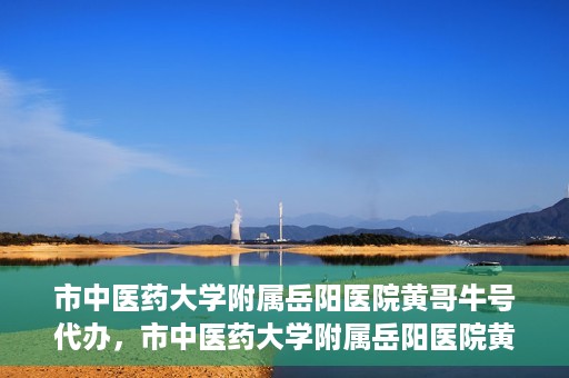 市中医药大学附属岳阳医院黄哥牛号代办，市中医药大学附属岳阳医院黄哥牛号代办，一站式医疗服务的信赖之选