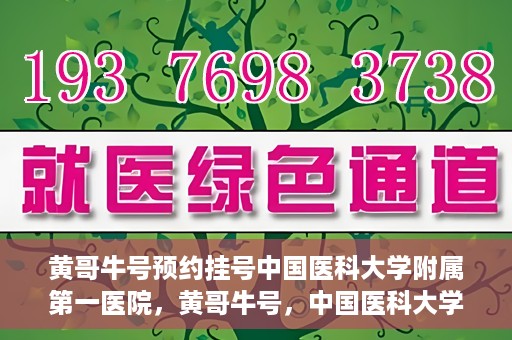 黄哥牛号预约挂号中国医科大学附属第一医院，黄哥牛号，中国医科大学附属第一医院预约挂号服务启动