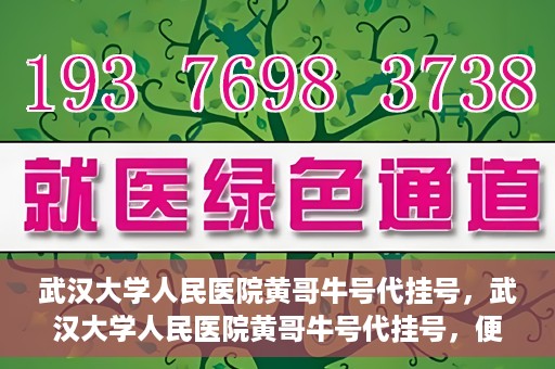 武汉大学人民医院黄哥牛号代挂号，武汉大学人民医院黄哥牛号代挂号，便捷就医背后的故事