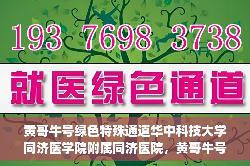 黄哥牛号绿色特殊通道华中科技大学同济医学院附属同济医院，黄哥牛号绿色特殊通道，华中科技大学同济医学院附属同济医院的探索与实践