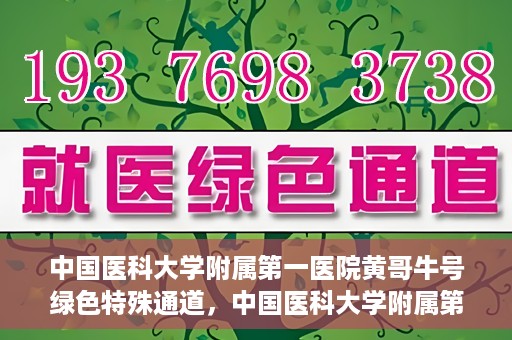 中国医科大学附属第一医院黄哥牛号绿色特殊通道，中国医科大学附属第一医院黄哥牛号，绿色特殊通道的开启与探索