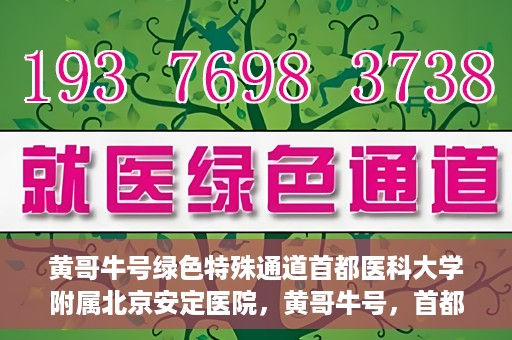 黄哥牛号绿色特殊通道首都医科大学附属北京安定医院，黄哥牛号，首都医科大学附属北京安定医院的绿色特殊通道揭秘