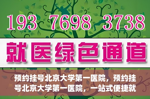预约挂号北京大学第一医院，预约挂号北京大学第一医院，一站式便捷就医服务攻略