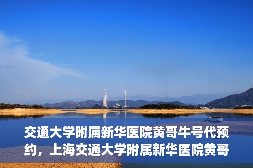 交通大学附属新华医院黄哥牛号代预约，上海交通大学附属新华医院黄哥牛号预约服务解析