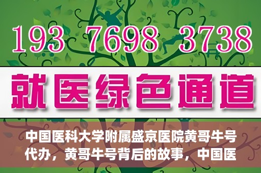 中国医科大学附属盛京医院黄哥牛号代办，黄哥牛号背后的故事，中国医科大学附属盛京医院的信赖之选