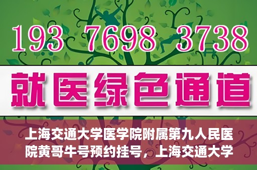 上海交通大学医学院附属第九人民医院黄哥牛号预约挂号，上海交通大学医学院附属第九人民医院黄哥牛号预约挂号攻略解析