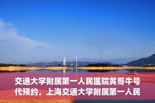 交通大学附属第一人民医院黄哥牛号代预约，上海交通大学附属第一人民医院黄哥预约挂号攻略，便捷预约，轻松就医