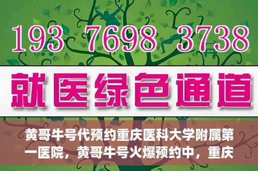 黄哥牛号代预约重庆医科大学附属第一医院，黄哥牛号火爆预约中，重庆医科大学附属第一医院开启预约新纪元