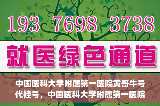 中国医科大学附属第一医院黄哥牛号代挂号，中国医科大学附属第一医院黄哥牛号代挂号服务详解