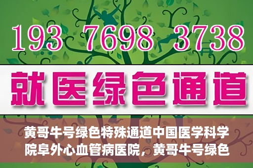黄哥牛号绿色特殊通道中国医学科学院阜外心血管病医院，黄哥牛号绿色就医通道，中国医学科学院阜外心血管病医院的探索与实践