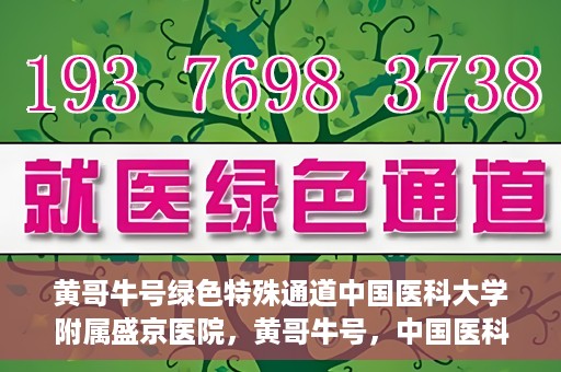 黄哥牛号绿色特殊通道中国医科大学附属盛京医院，黄哥牛号，中国医科大学附属盛京医院开启绿色特殊通道助力医疗进步