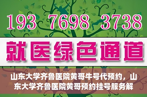 山东大学齐鲁医院黄哥牛号代预约，山东大学齐鲁医院黄哥预约挂号服务解析