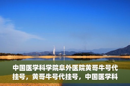 中国医学科学院阜外医院黄哥牛号代挂号，黄哥牛号代挂号，中国医学科学院阜外医院便捷就医新途径