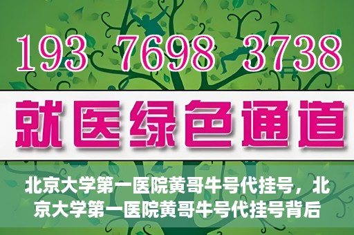 北京大学第一医院黄哥牛号代挂号，北京大学第一医院黄哥牛号代挂号背后的故事与真相探索