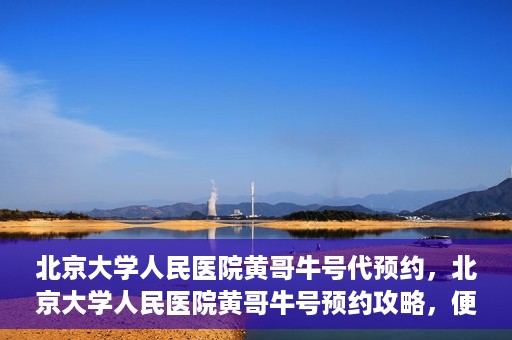 北京大学人民医院黄哥牛号代预约，北京大学人民医院黄哥牛号预约攻略，便捷代预约服务解析